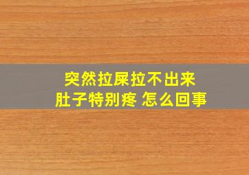 突然拉屎拉不出来 肚子特别疼 怎么回事